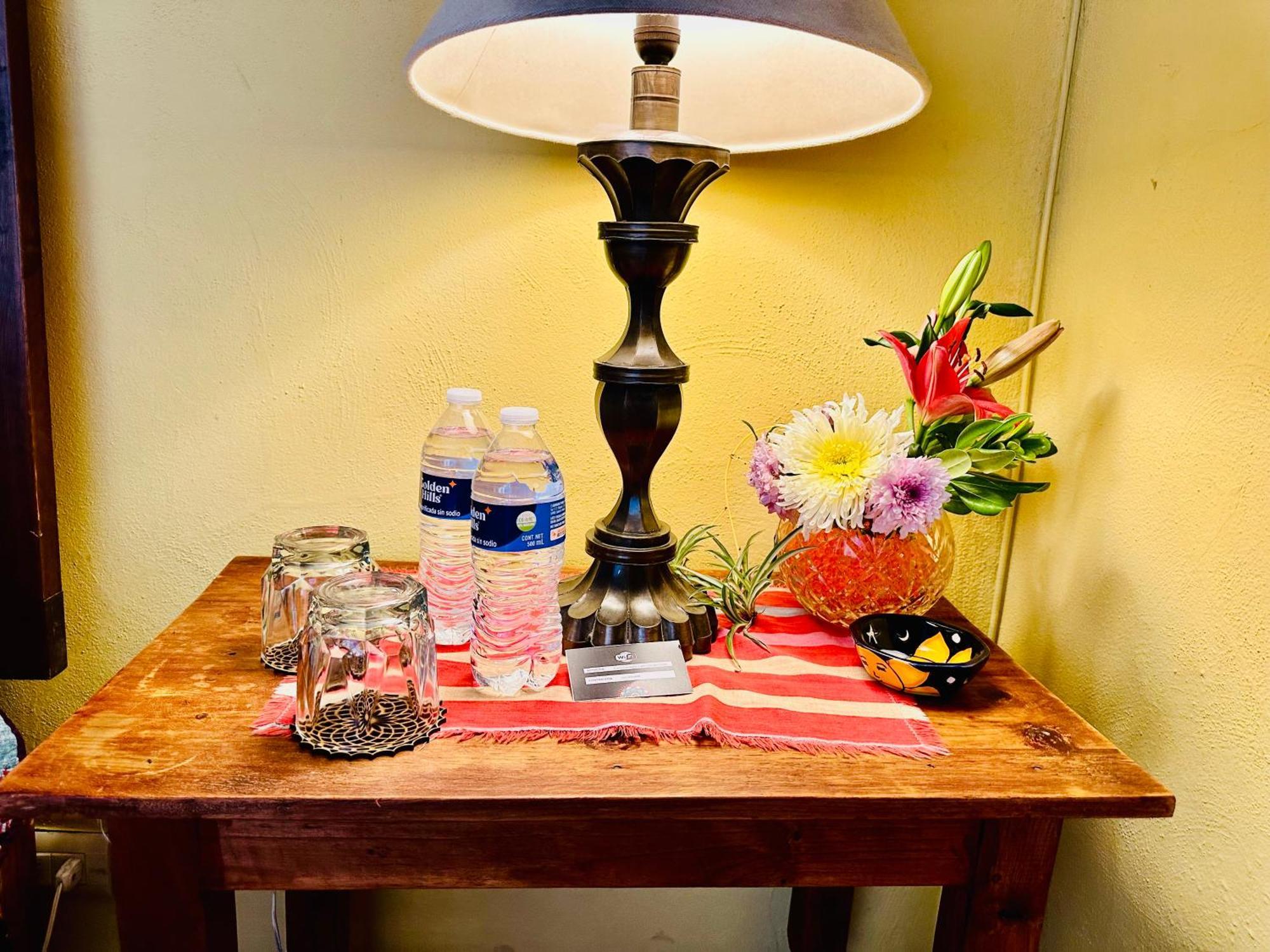Boutique Hotel Casa Camellia San Miguel de Allende Dış mekan fotoğraf