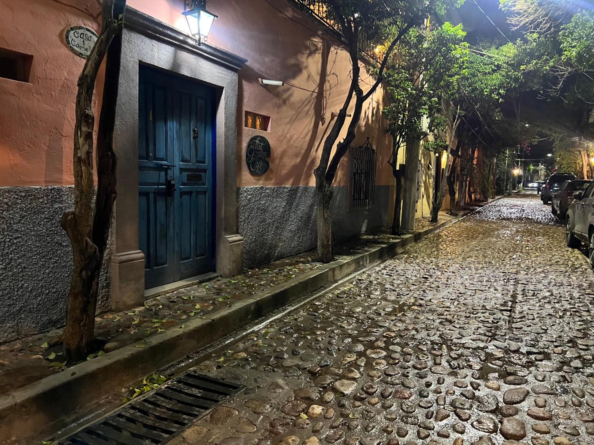 Boutique Hotel Casa Camellia San Miguel de Allende Dış mekan fotoğraf