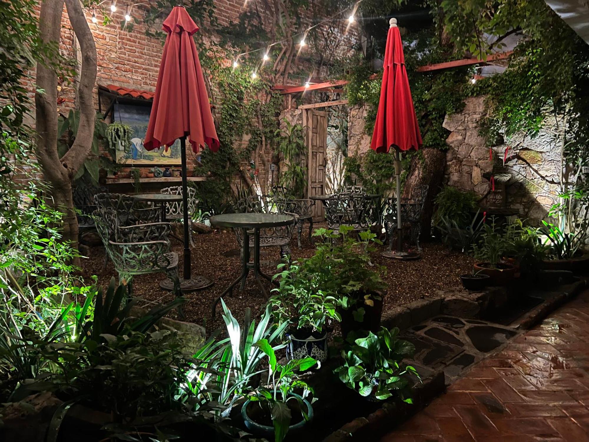 Boutique Hotel Casa Camellia San Miguel de Allende Dış mekan fotoğraf