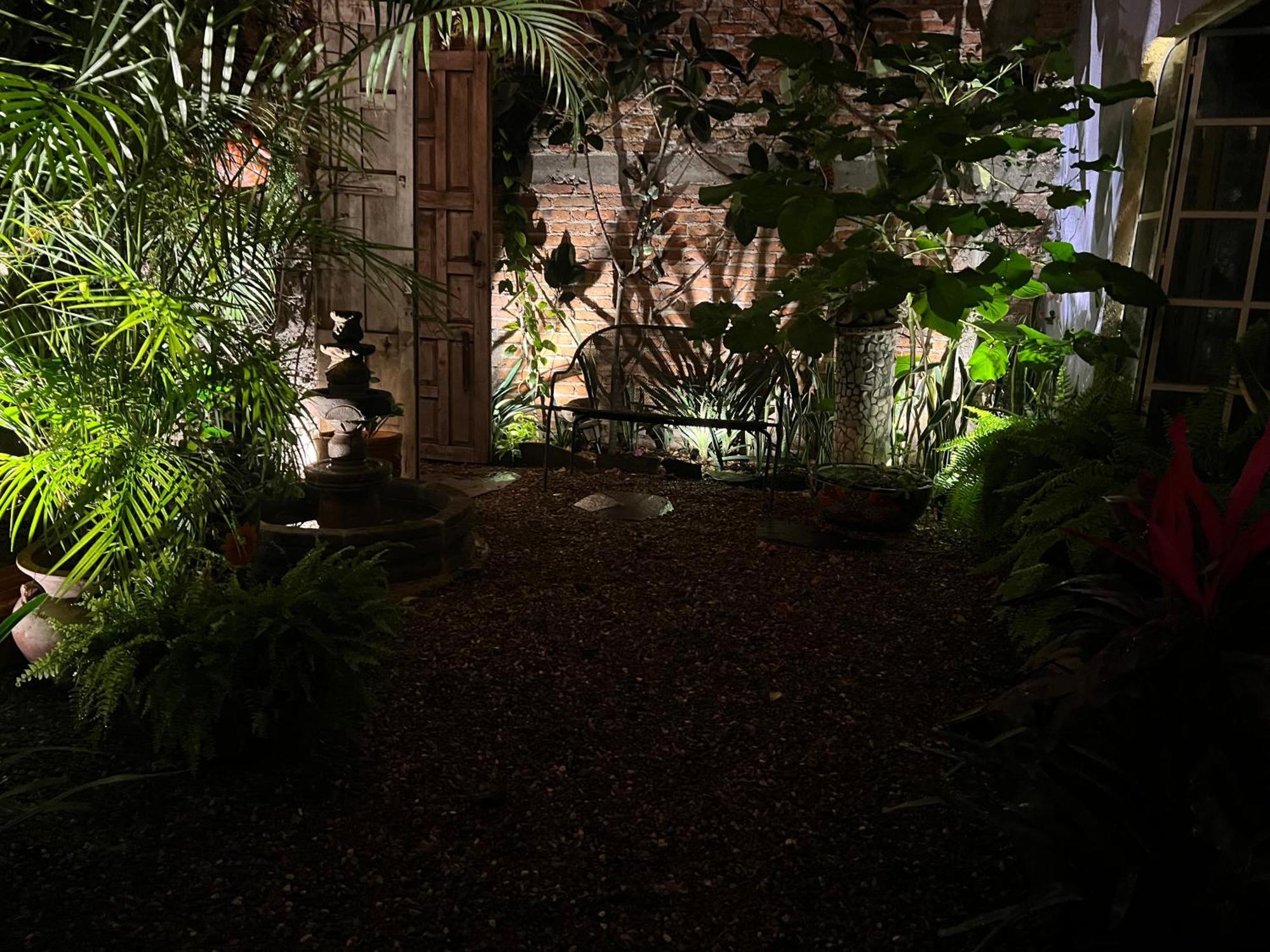 Boutique Hotel Casa Camellia San Miguel de Allende Dış mekan fotoğraf