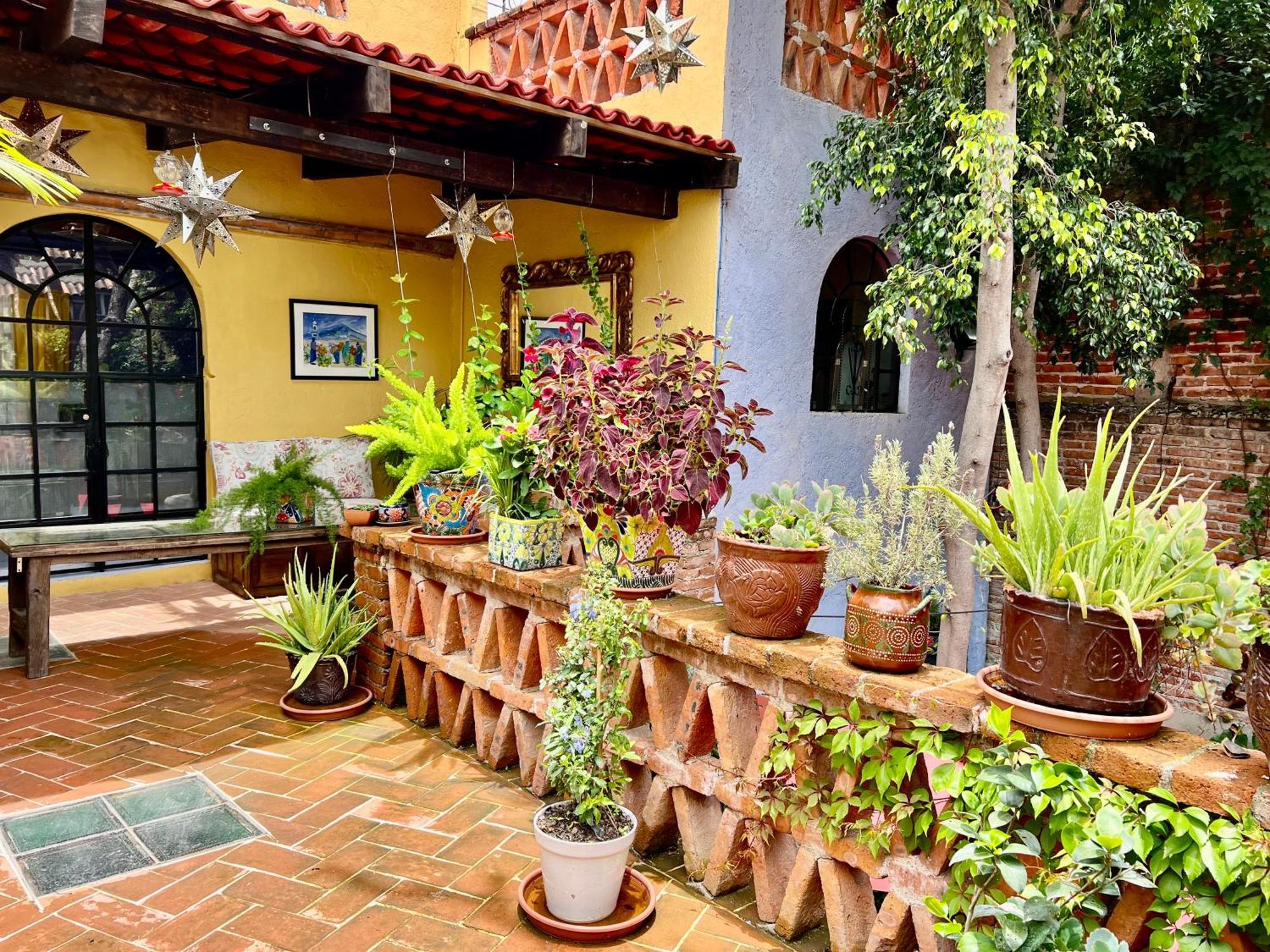Boutique Hotel Casa Camellia San Miguel de Allende Dış mekan fotoğraf