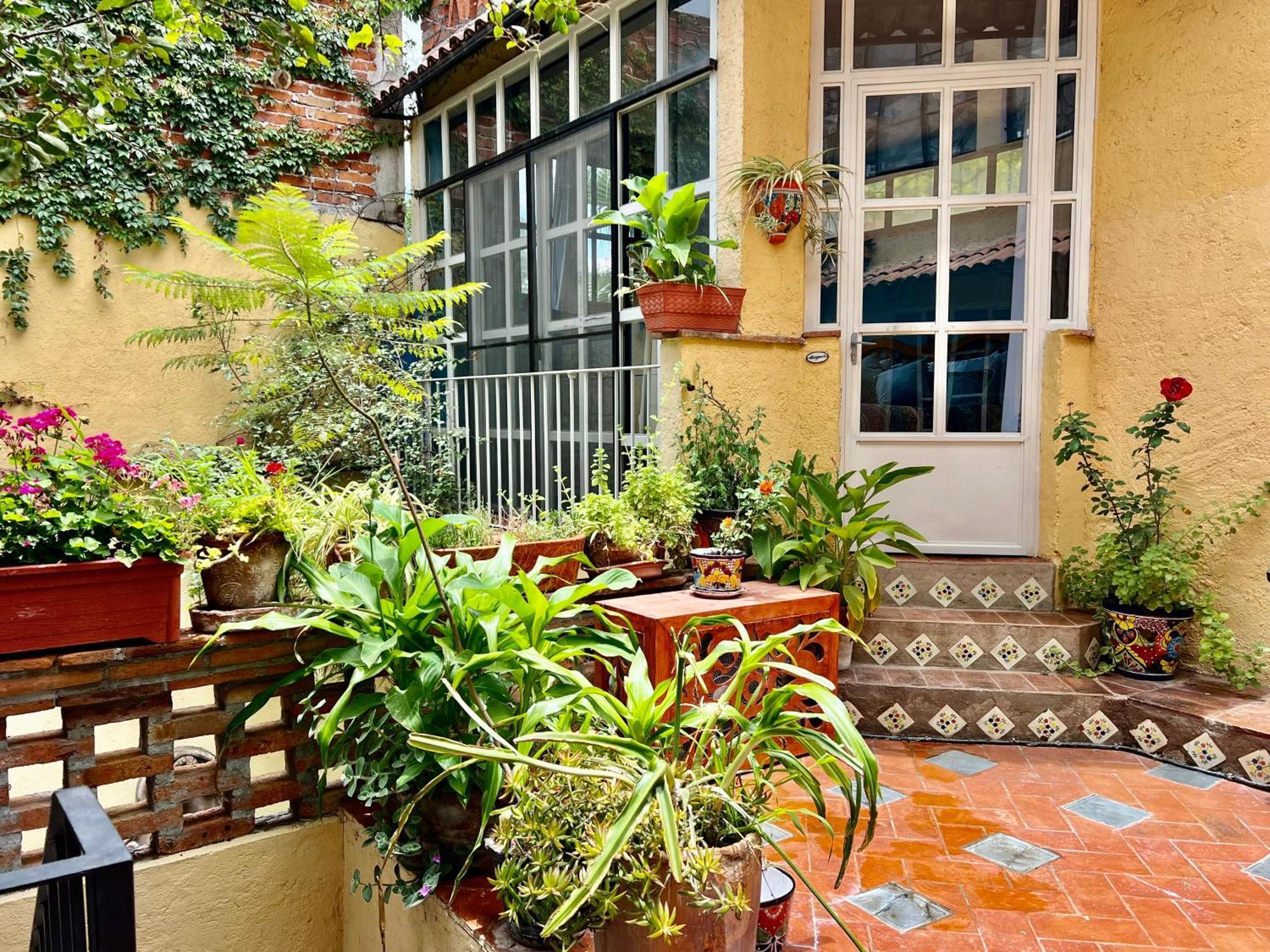 Boutique Hotel Casa Camellia San Miguel de Allende Dış mekan fotoğraf