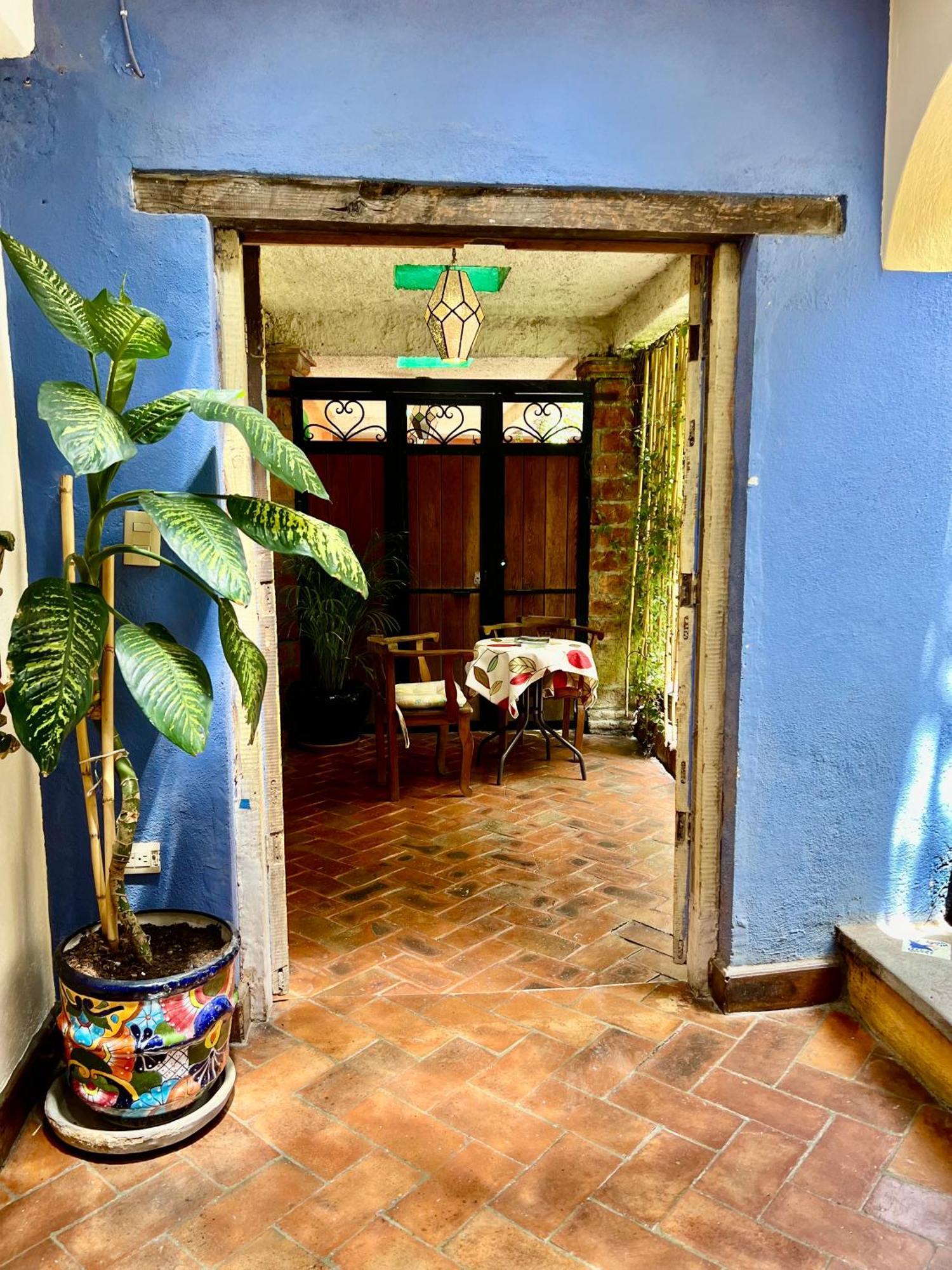 Boutique Hotel Casa Camellia San Miguel de Allende Dış mekan fotoğraf
