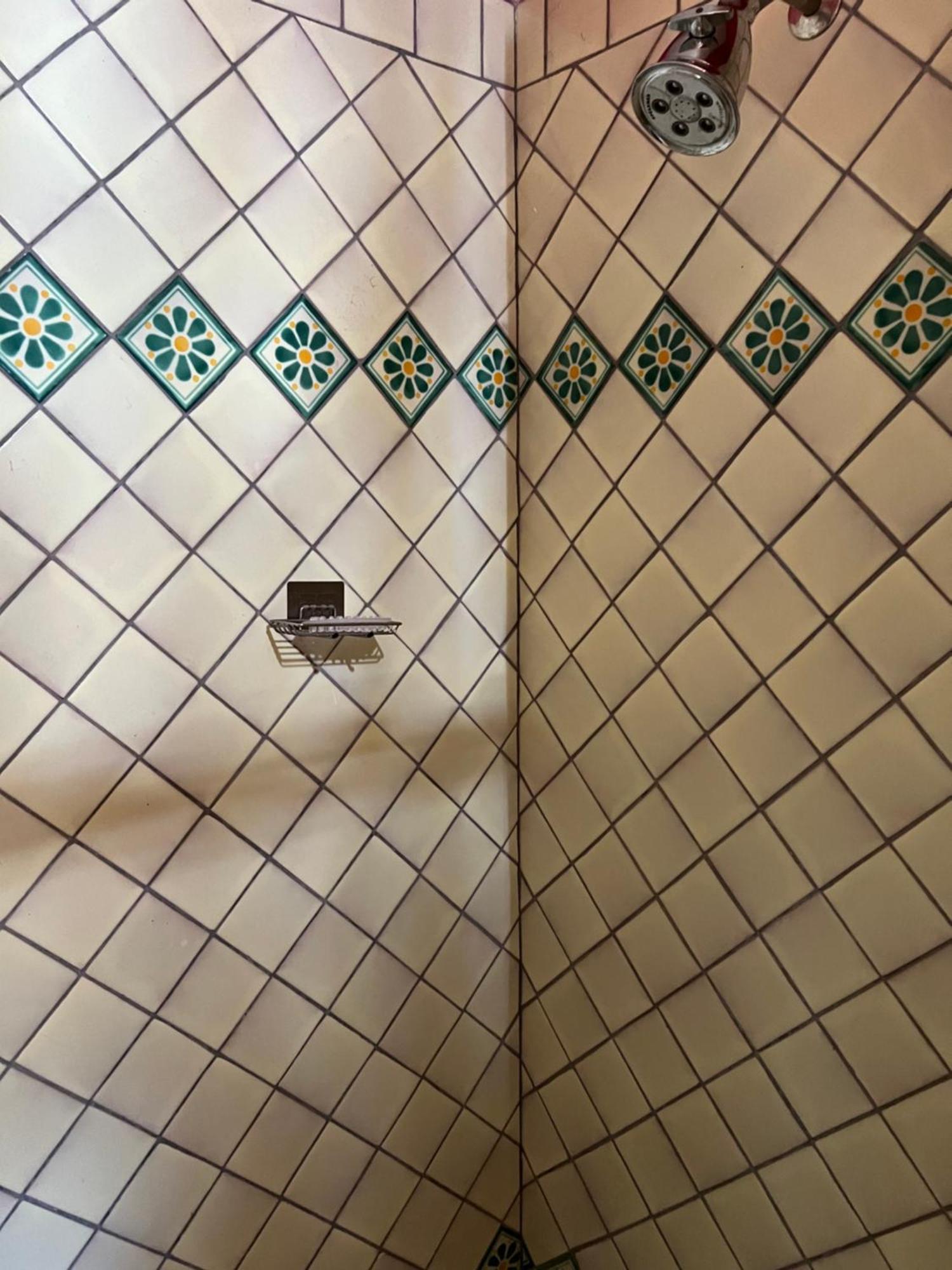 Boutique Hotel Casa Camellia San Miguel de Allende Dış mekan fotoğraf